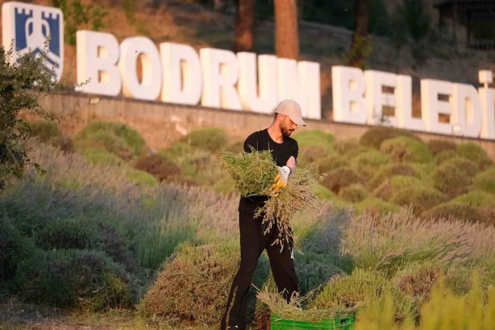 Bodrumlu gençler toprağın dilini öğrendi: Tarım Kampı’nda ikinci dönem sona erdi