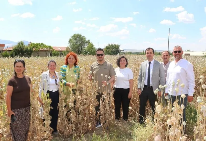 Kuşadalı kadınlardan Isparta çıkarması: Haşhaş tarlasında güç birliği