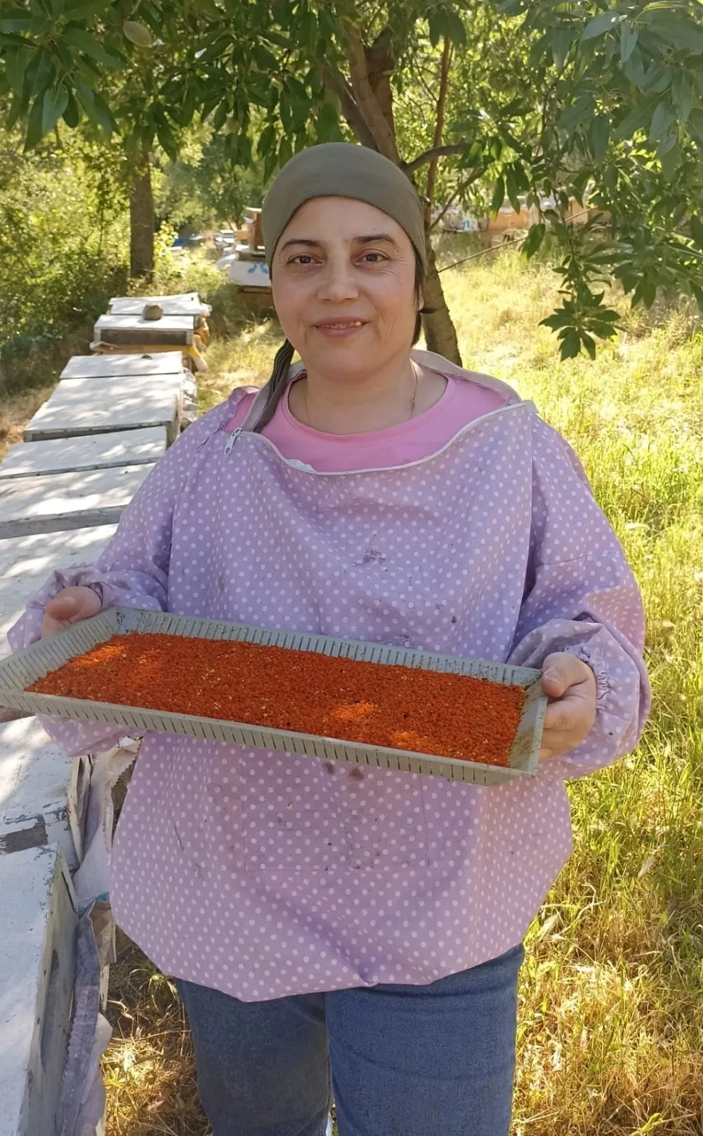 Buldan’ın çiçeklerinden gelen şifa: Arıcılar polen hasadına başladı