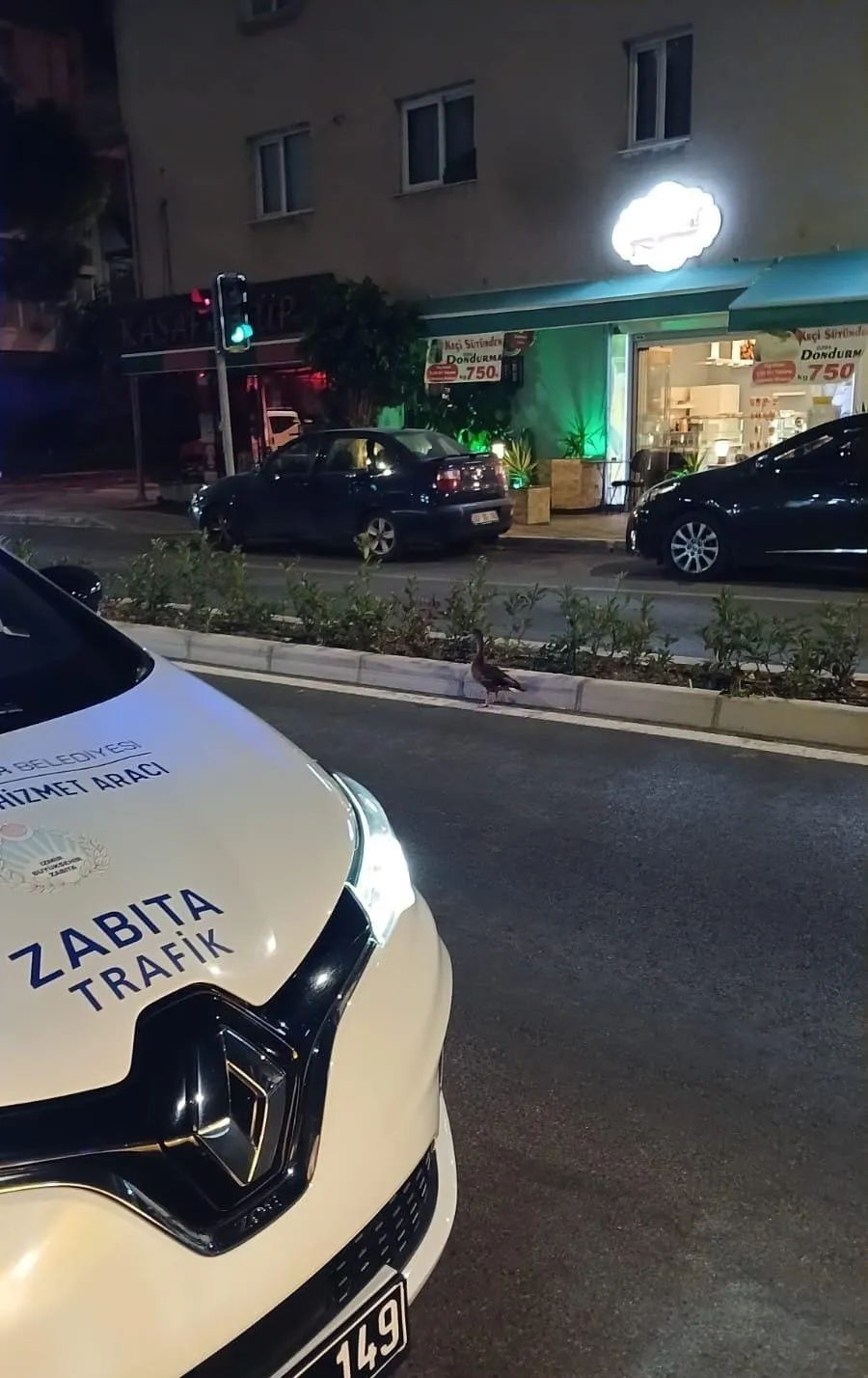 Karşıyaka trafiğinde beklenmedik misafir: Zabıta ekipleri seferber oldu