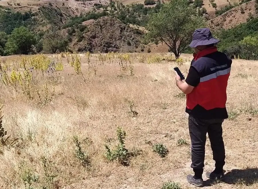 Gediz tarımında denetim mesaisi: Üreticinin beyanı sahada mercek altında