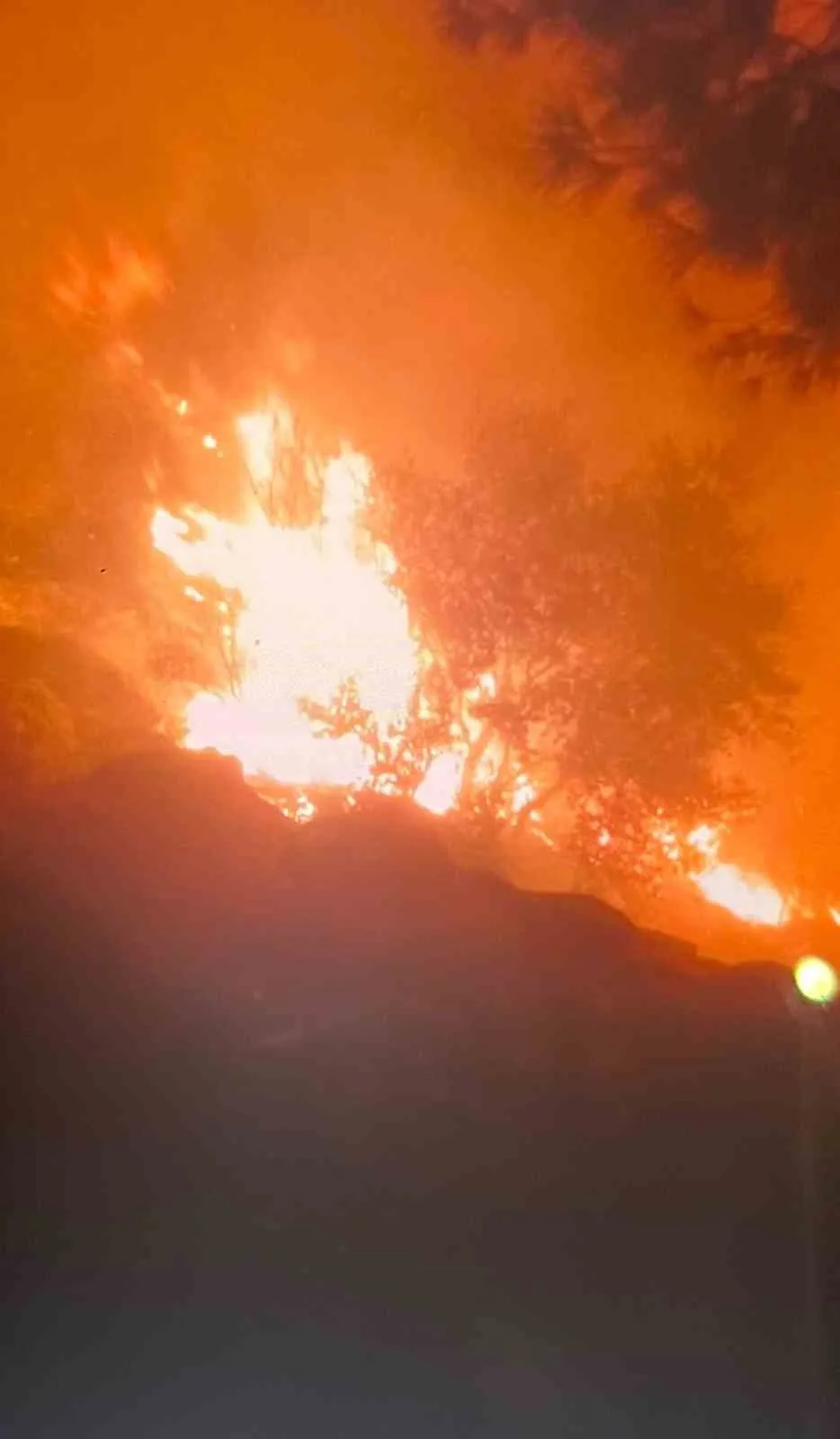 Muğla ormanlarında alarm: Ekipler iki ayrı noktada alevlere karşı savaşıyor