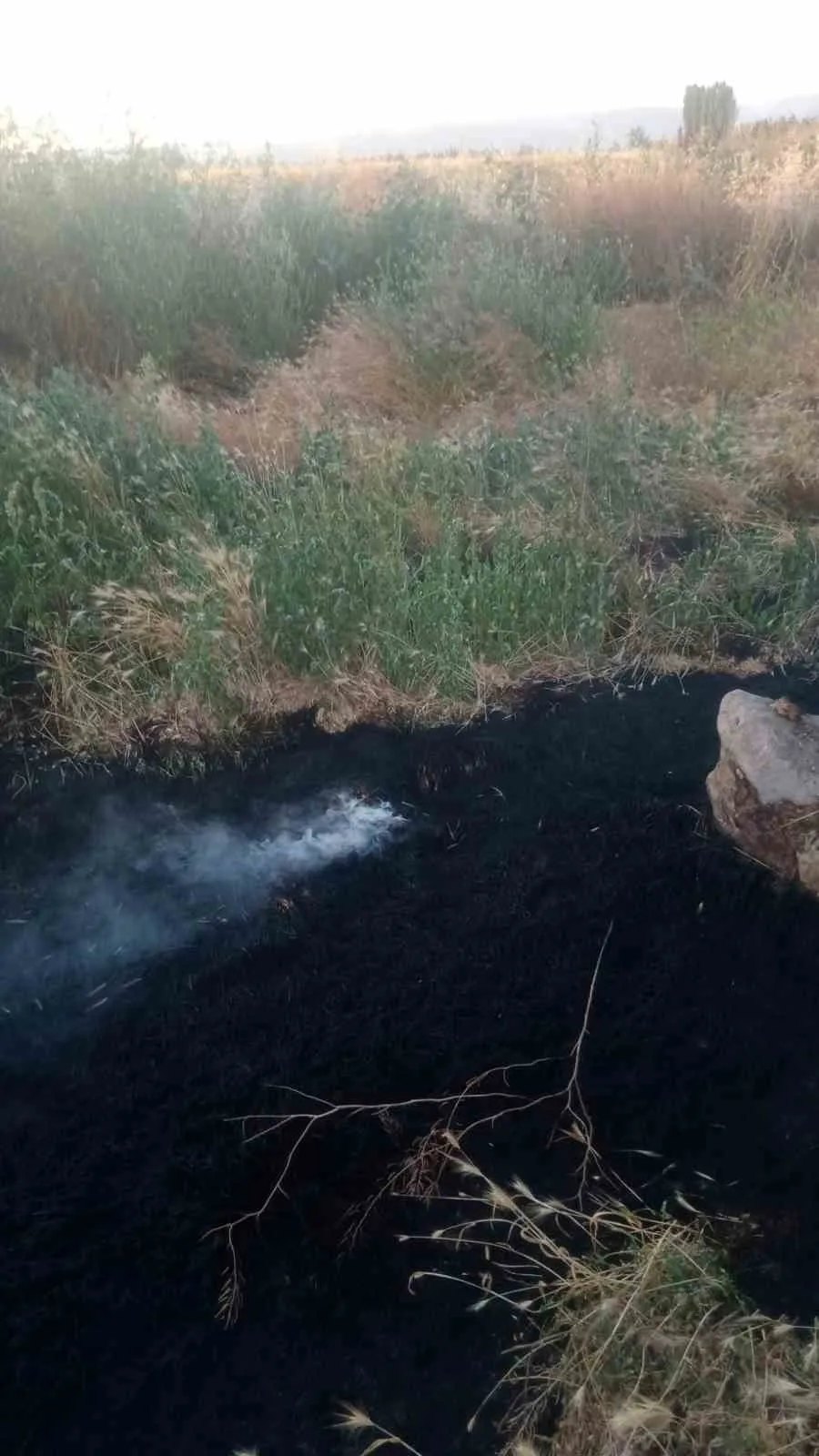 Şuhut’ta alevler ormana ulaşmadan durduruldu: Ekiplerin zamanla yarışı sonuç verdi