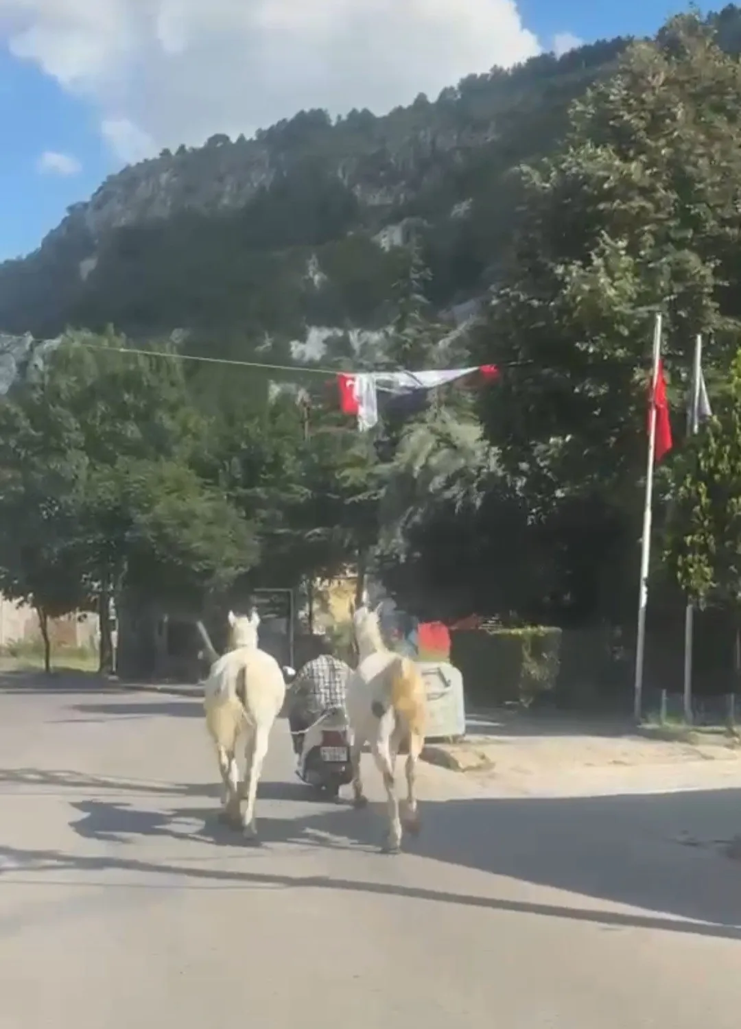 Kütahya trafiğinde şaşkına çeviren görüntü: Motosikletle at taşıdı