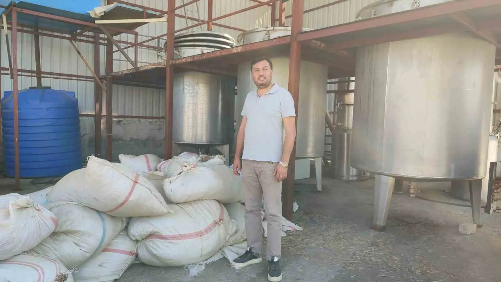 Denizli’nin yeşil altını dünyaya açılıyor: Kekik ihracatında dev hamle