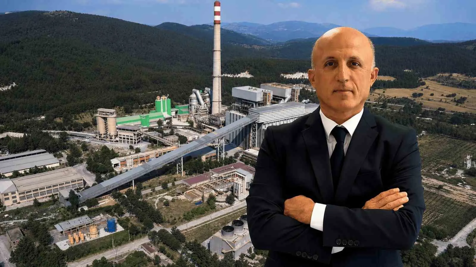 Milas'ta zeytin ağaçlarına "bilimsel dokunuş": Bir yılda meyveye durdular