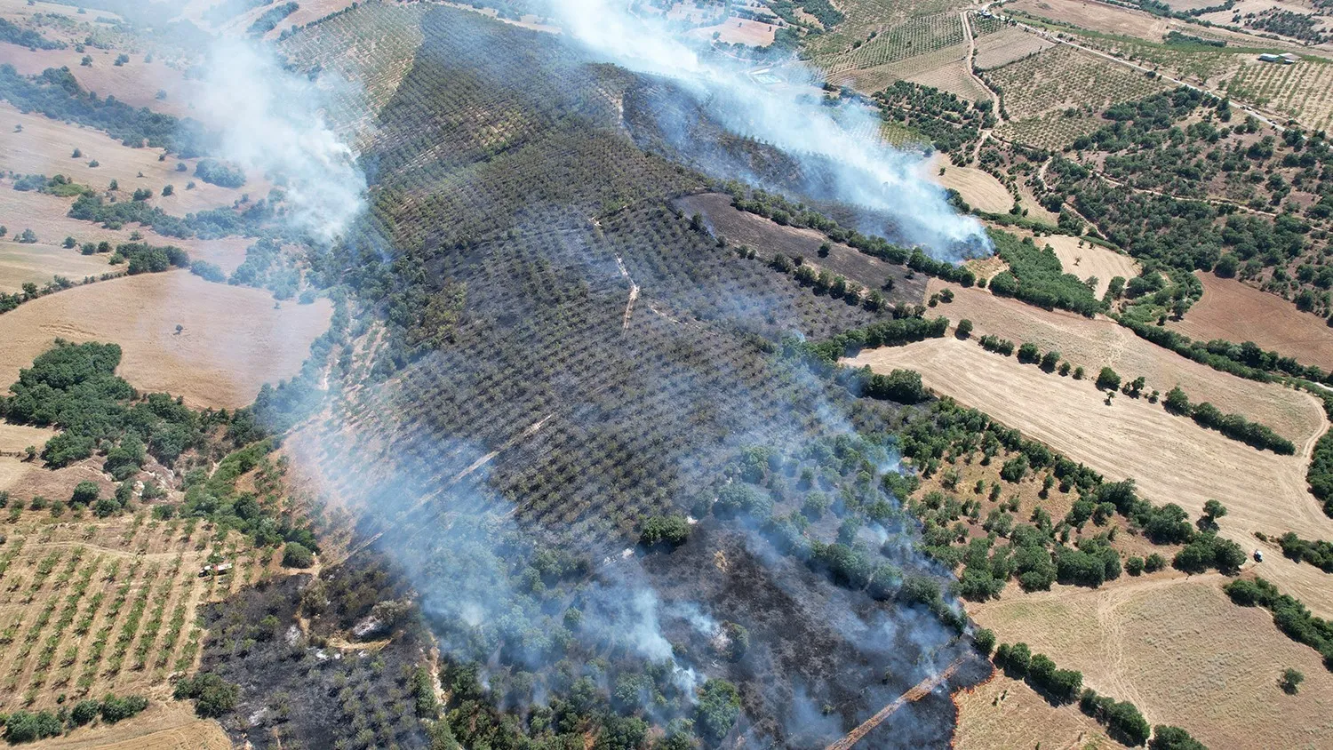 Kula’da orman yangını paniği: Alevler 15 hektarlık alanı küle çevirdi