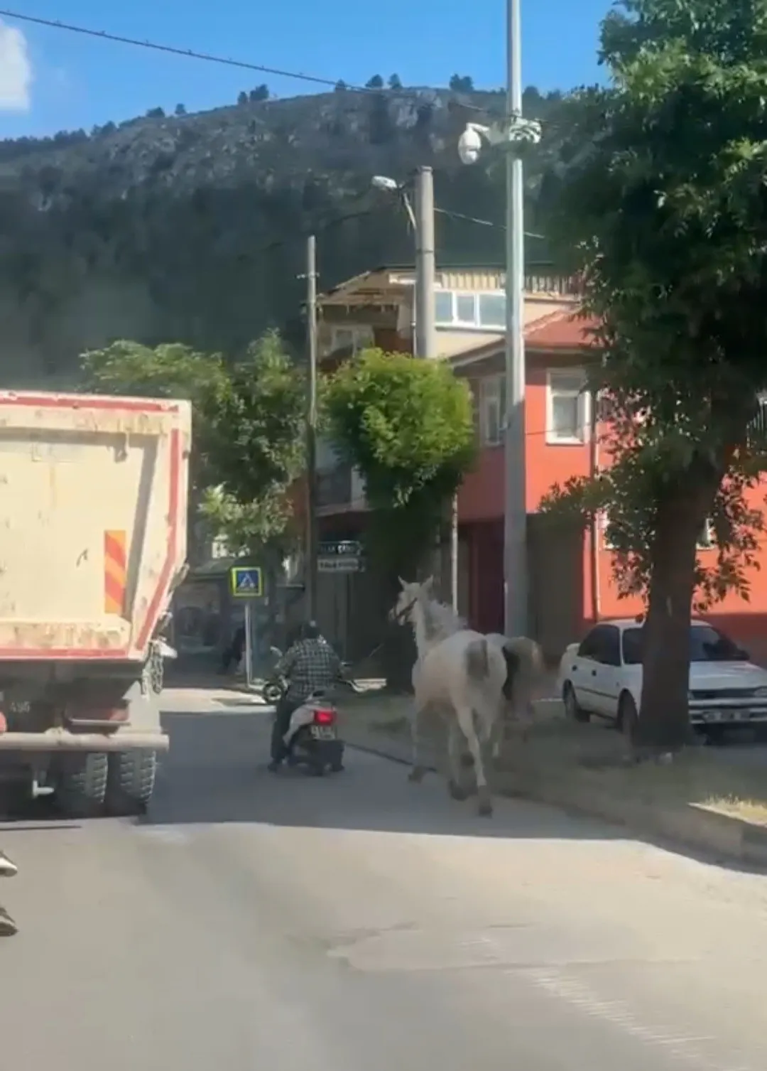 Kütahya trafiğinde şaşkına çeviren görüntü: Motosikletle at taşıdı