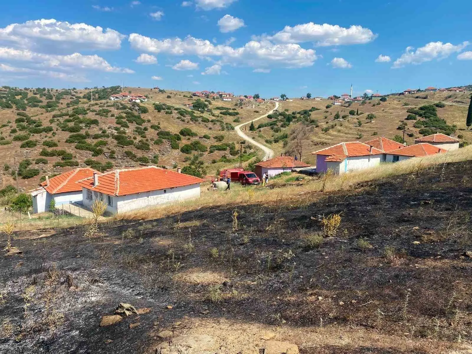 Manisa'da orman yangınlarına karşı 'anız' alarmı: Valilikten kritik uyarı