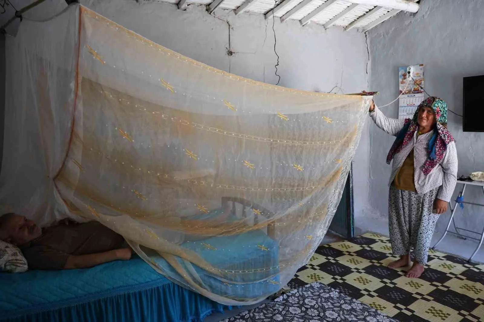 Felçli eşinin huzuru için sineklerle savaşıyor: Bir anlık boşluk bırakmıyor
