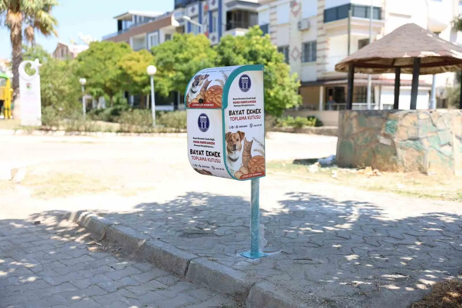 Didim'de ekmekler çöpe gitmiyor: Hem israf önleniyor hem sokak hayvanları doyuyor