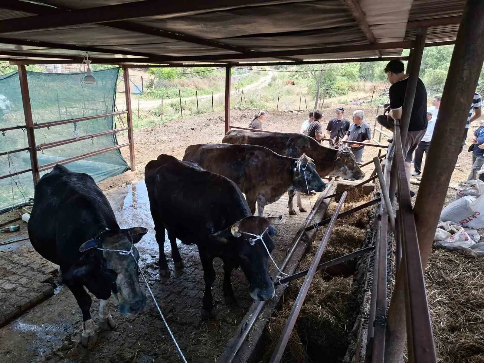 Gördes’teki yangın felaketinde üreticiye can suyu: Büyükşehir’den acil destek eli