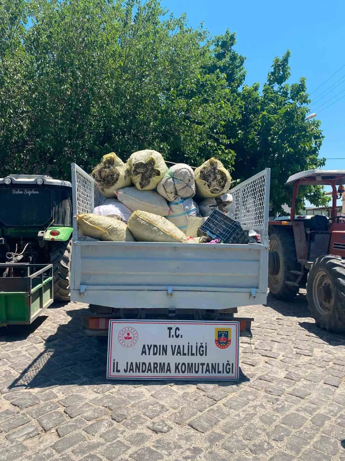 Didim'de doğa talanına jandarma engeli: Tonlarca bitki ele geçirildi
