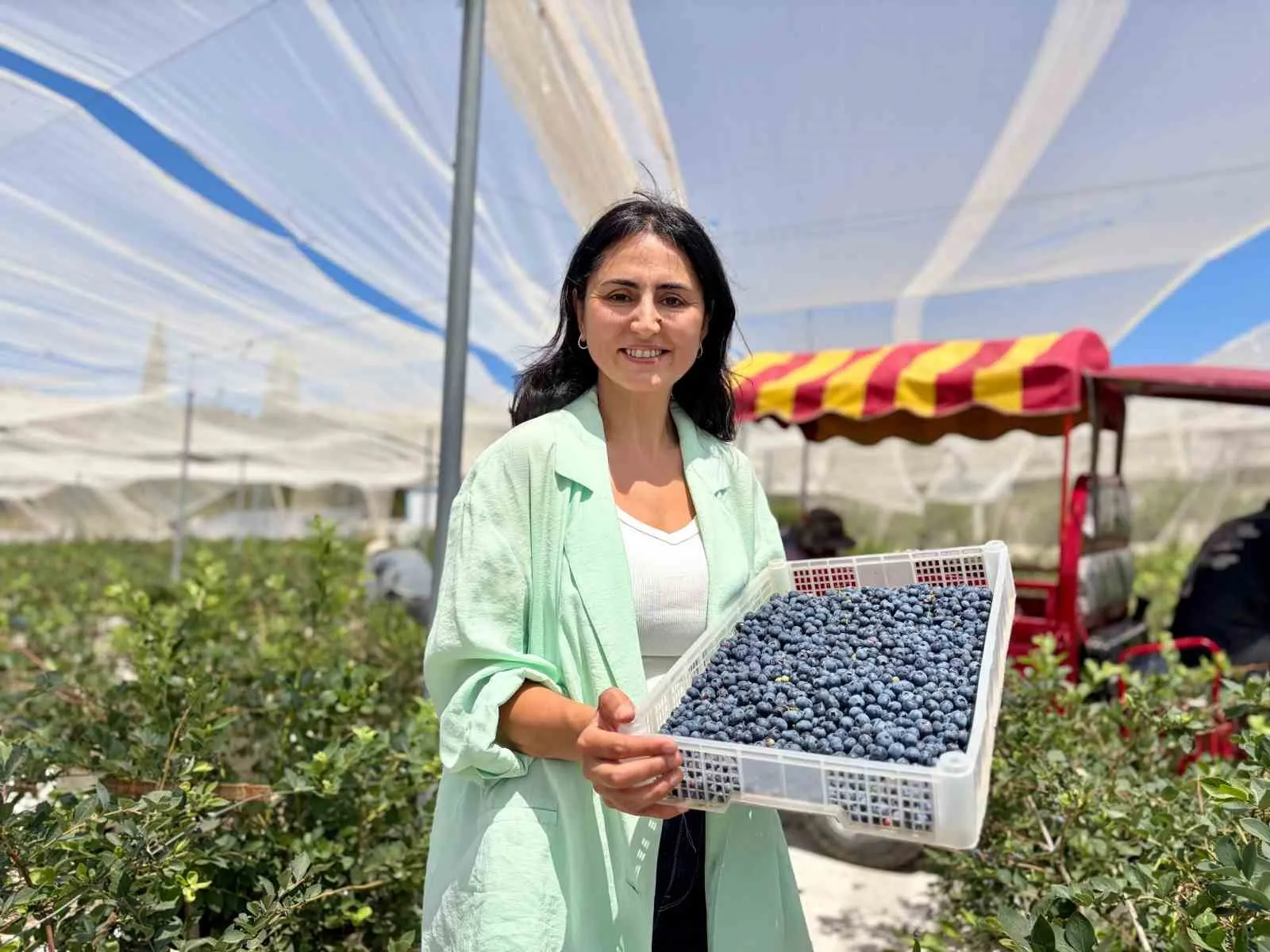 Beyaz yakalı hayattan topraksız tarım devrimine: İlter çiftinden İzmir’de örnek girişim