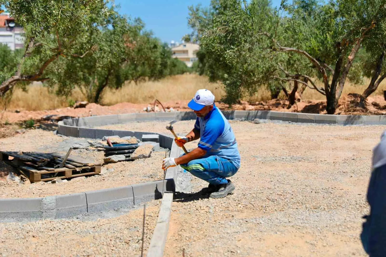 Didim’de zeytin ağaçlarının gölgesinde yeni bir sosyal merkez yükseliyor