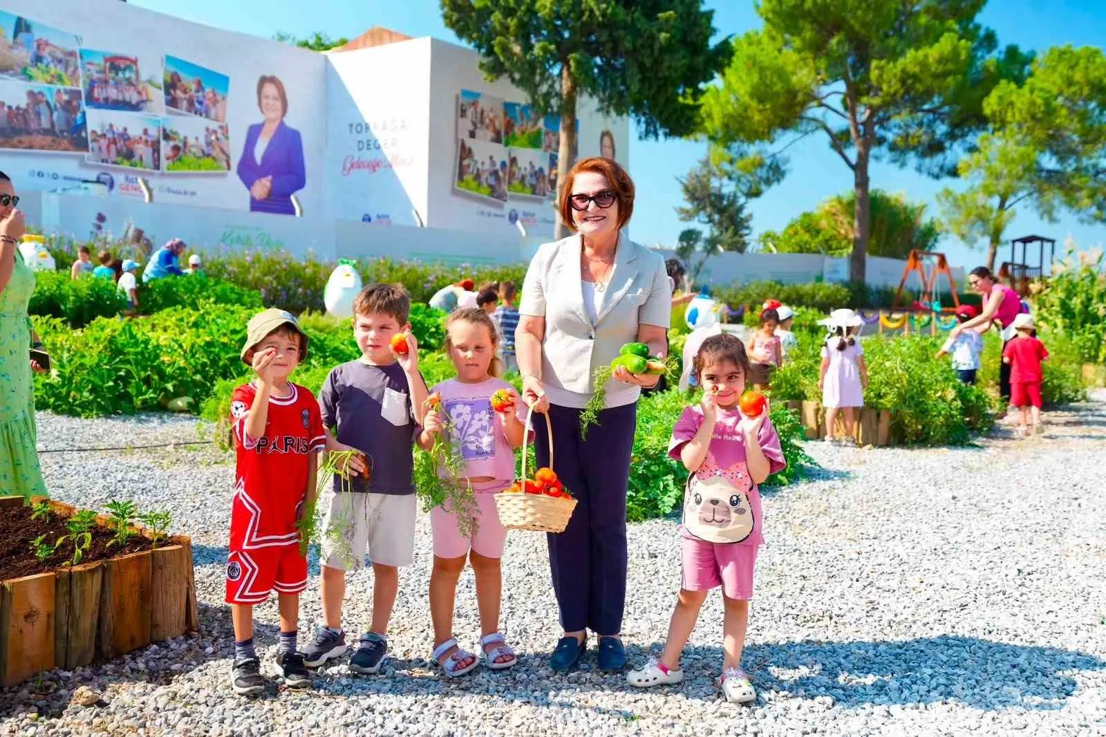 Didim’de minik eller toprağa hayat verdi: Hasat heyecanı yaşandı