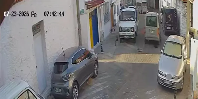 Menteşe’de vicdansızlık kamerada: İki kediyi ezip hiçbir şey olmamış gibi gitti