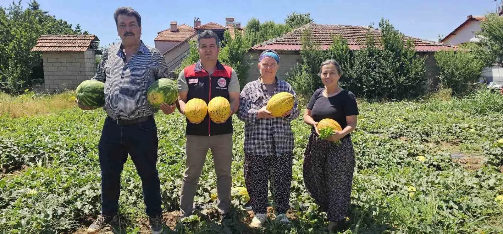 Denizli’nin sarı altını tarlaya indi: Acıpayam’da hasat heyecanı başladı
