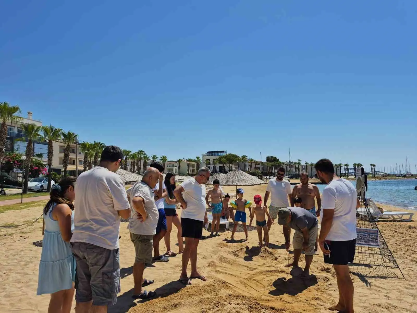 Didim sahillerinde Caretta caretta bereketi: İkinci yuva korumaya alındı