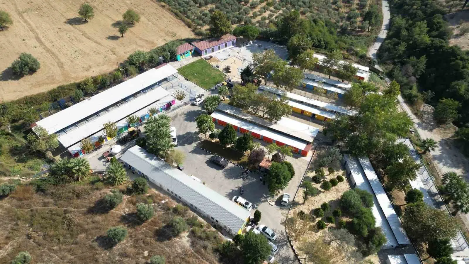 Kuşadası’nda iyilik hareketi: Binlerce can dostuna yeni bir hayat sundular