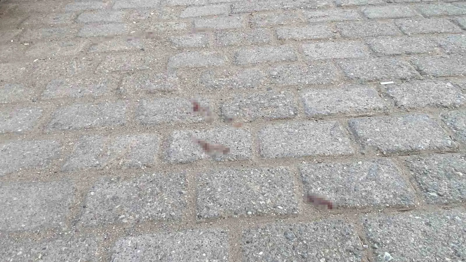 Nazilli'de kanlı boşanma kavgası: Kayınpeder damadını vurdu