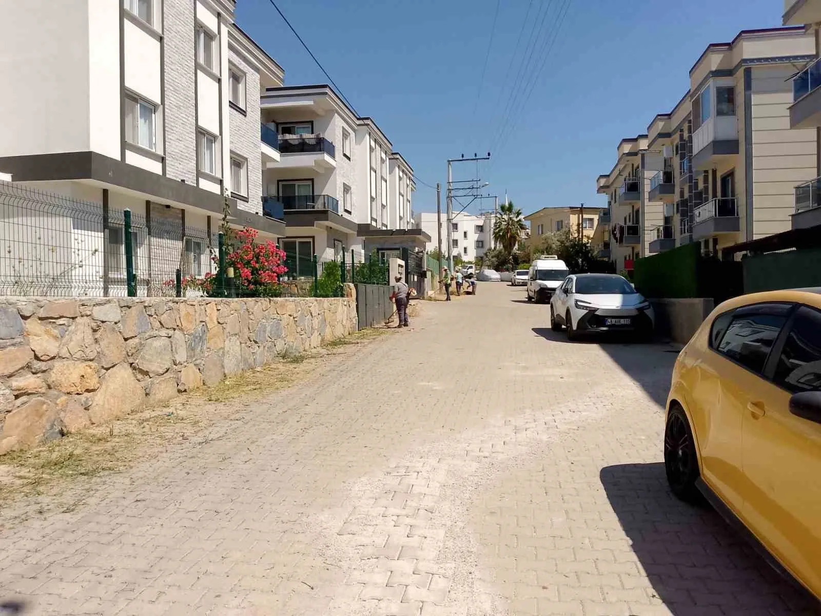 Bodrum’da yangın önlemleri için seferberlik: Binlerce metrekarelik alan temizlendi
