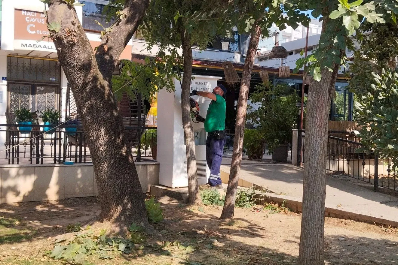 Efeler’de yeşil alanlara estetik dokunuş: Mahalleler nefes alıyor