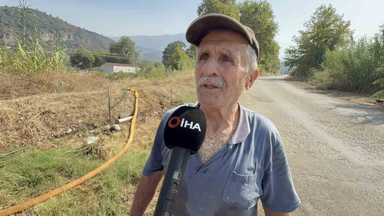 Alevler zeytinliklerini yuttu ama o pes etmedi: 76 yaşındaki kanser hastasından destansı mücadele