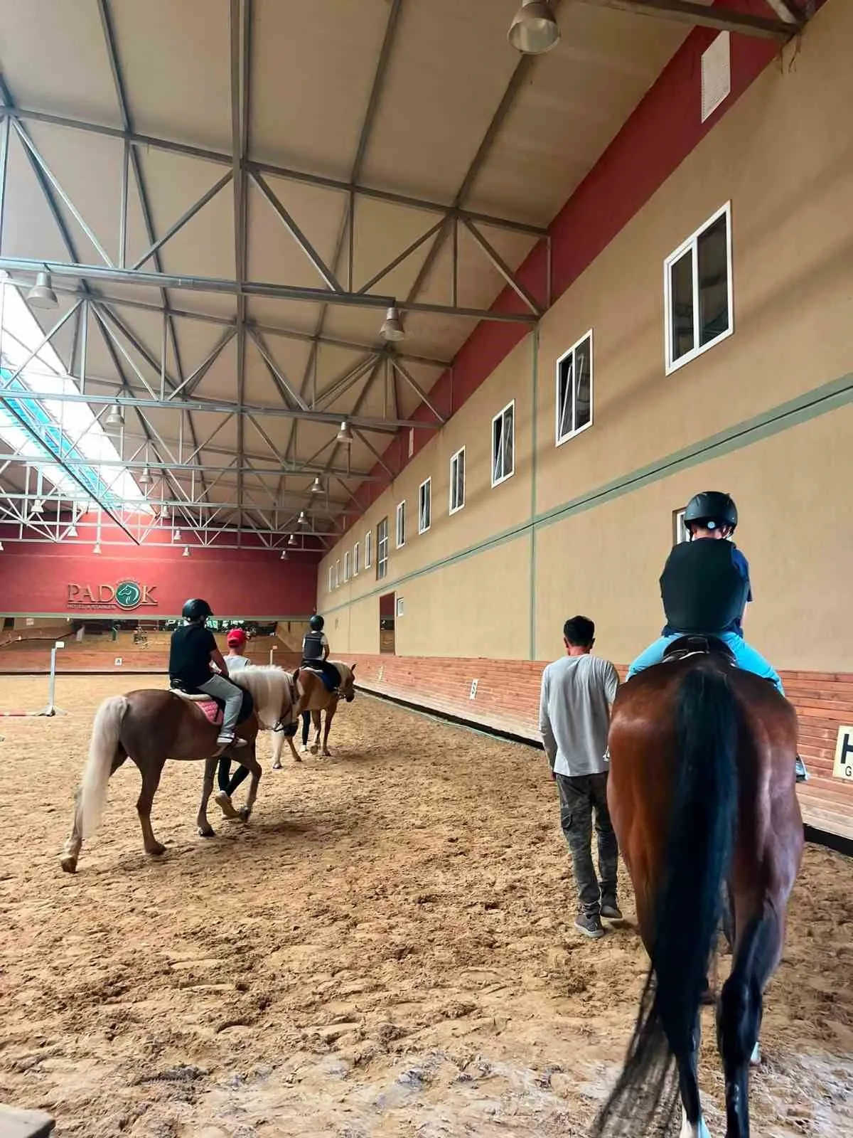 Muğla'da yaz tatili at sırtında geçecek: Çocuklar doğayla buluşuyor
