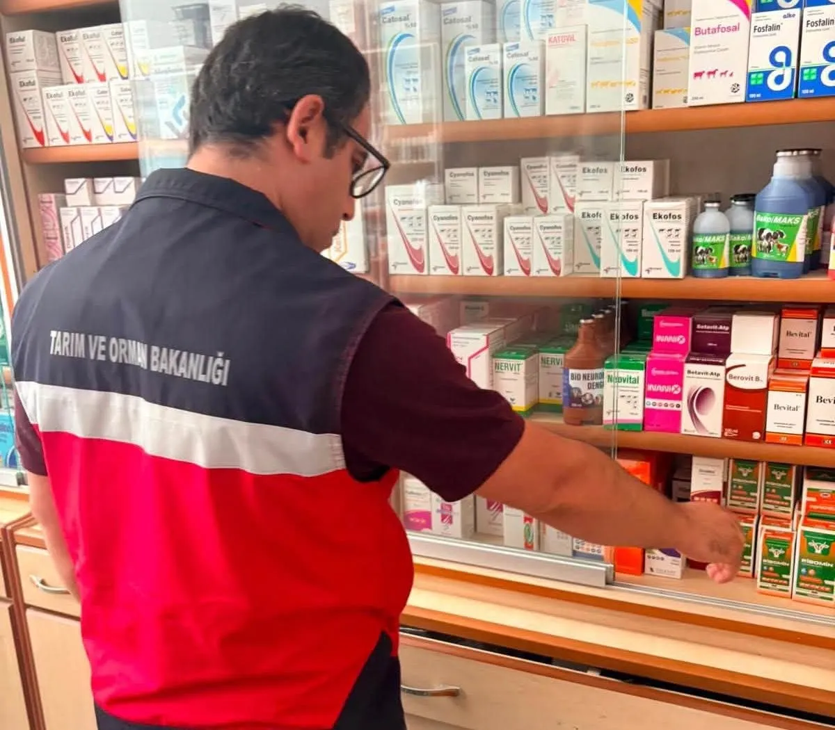 Simav’da veteriner kliniklerine mercek: Hizmet standartları denetim altında