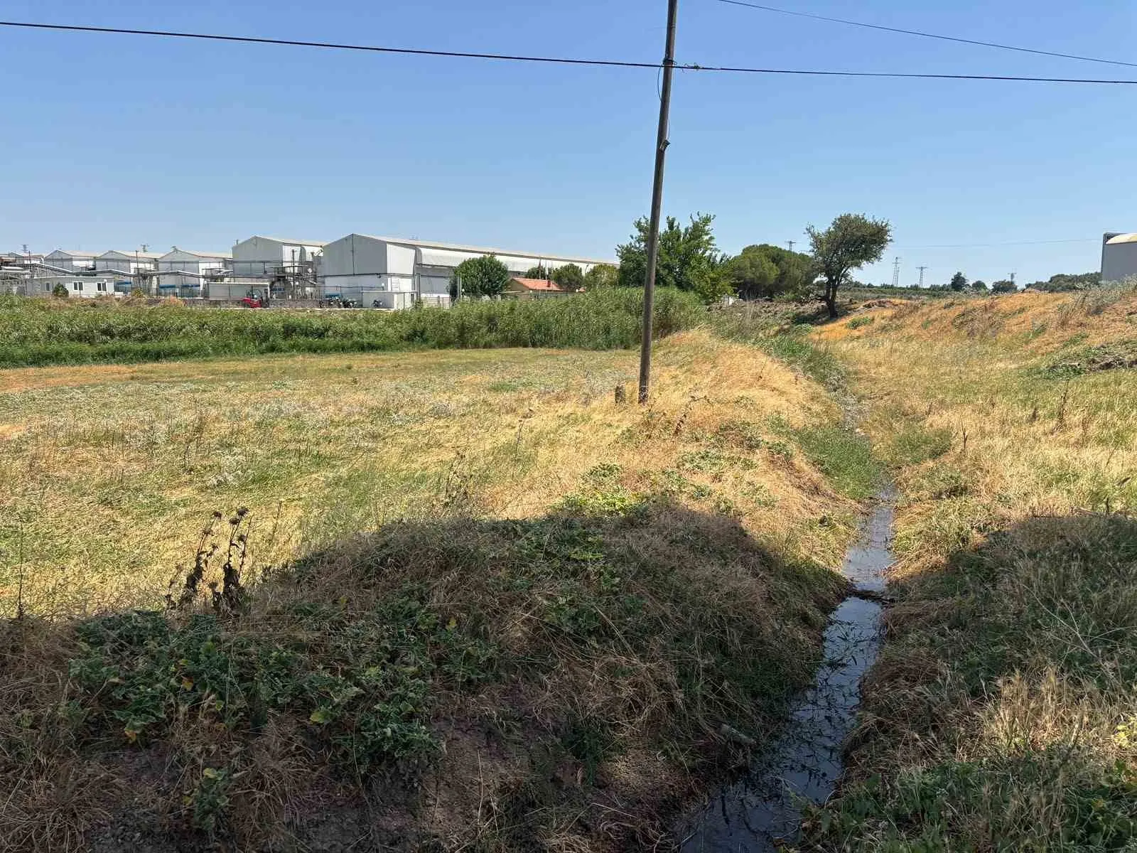 Saruhanlı'da çevre skandalı: Tavuk çiftliğinin atıkları tarım arazisine boşaltıldı