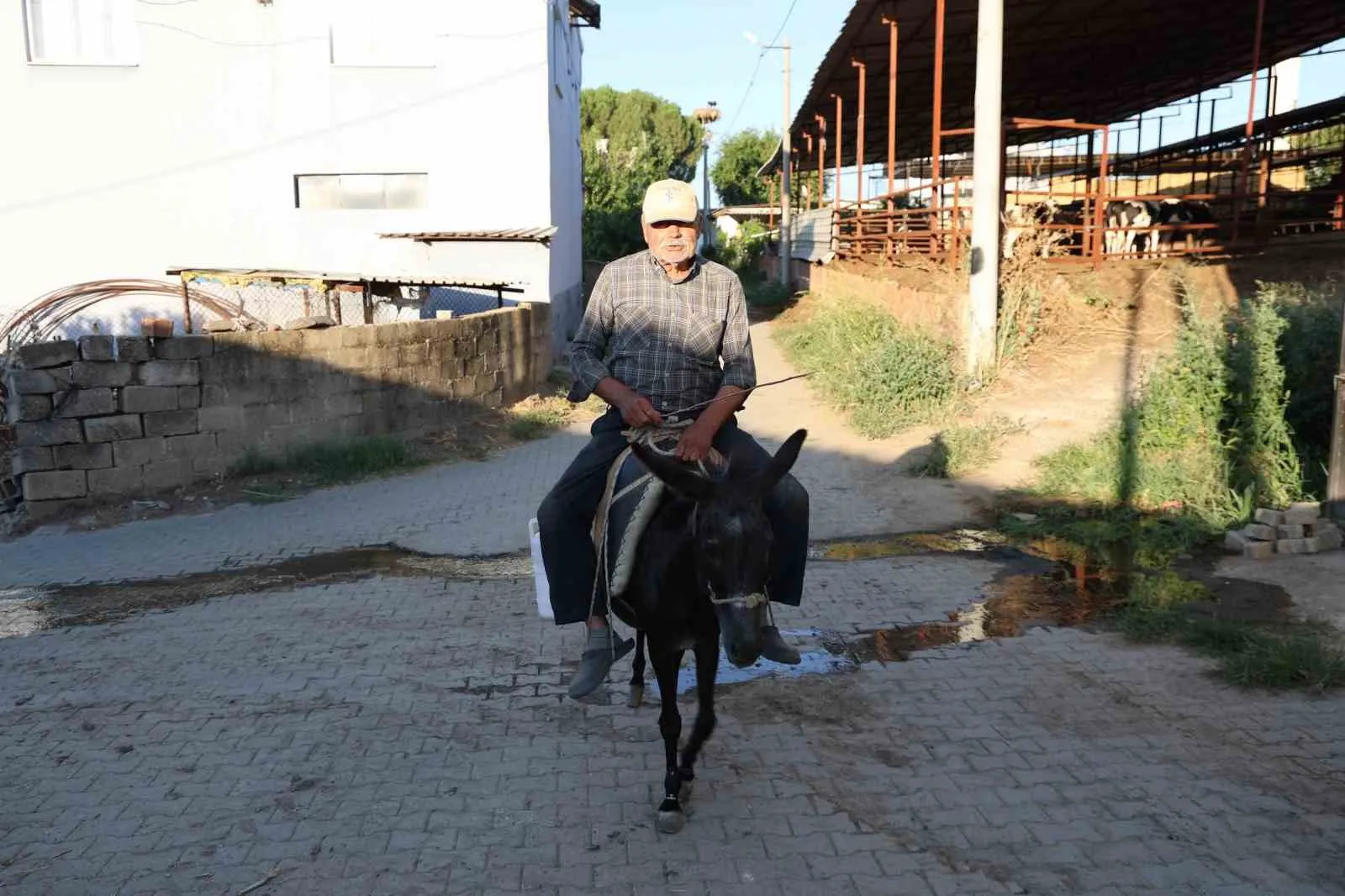 Ehliyeti yok ama 40 yıllık dostuyla trafiğe çıkıyor: Karakaçan onun için otomobilden daha değerli