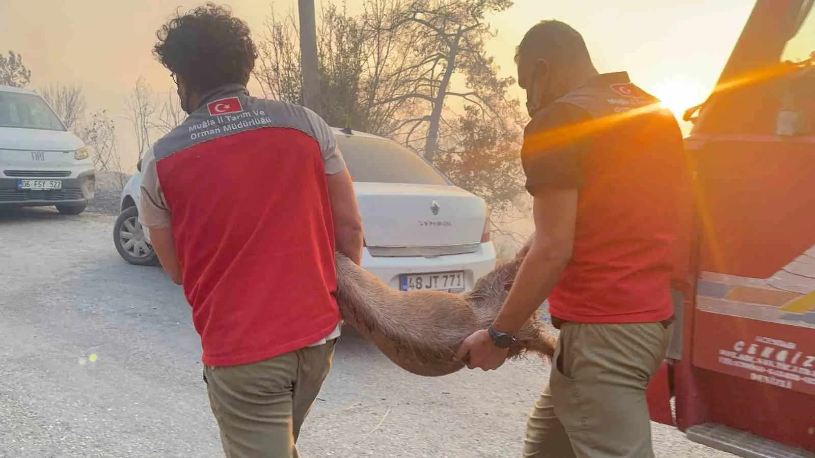 Seydikemer’de alevler hayvanları tehdit etti: Ekipler seferber oldu