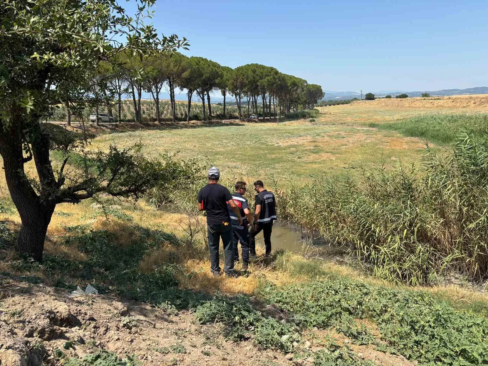 Saruhanlı'da çevre skandalı: Tavuk çiftliğinin atıkları tarım arazisine boşaltıldı