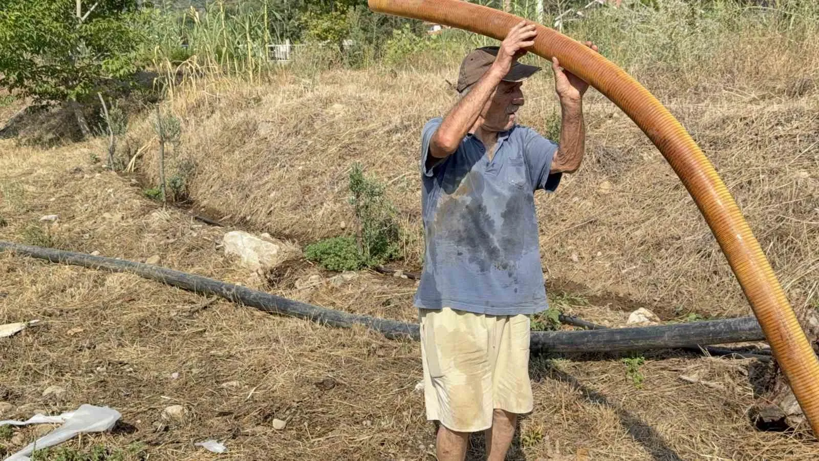 Alevler zeytinliklerini yuttu ama o pes etmedi: 76 yaşındaki kanser hastasından destansı mücadele