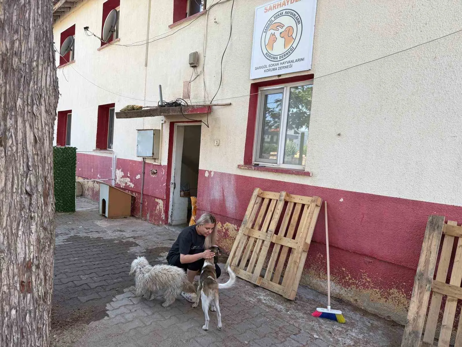 Sarıgöl’de gönüllülerden can dostlara büyük vefa: Sokak hayvanları için el ele verdiler