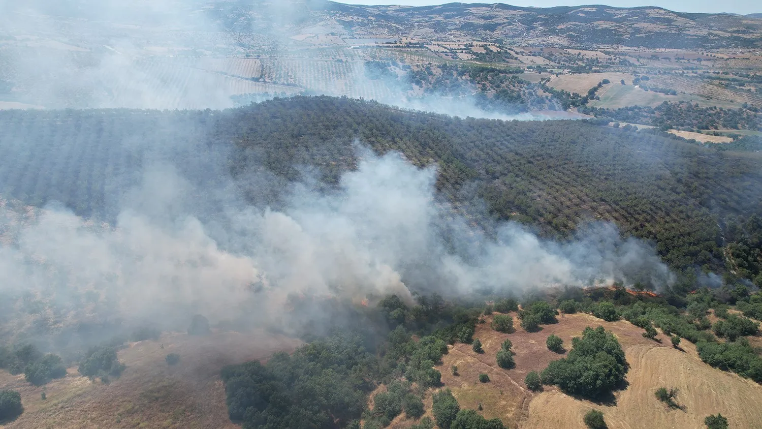 Kula’da orman yangını paniği: Alevler 15 hektarlık alanı küle çevirdi