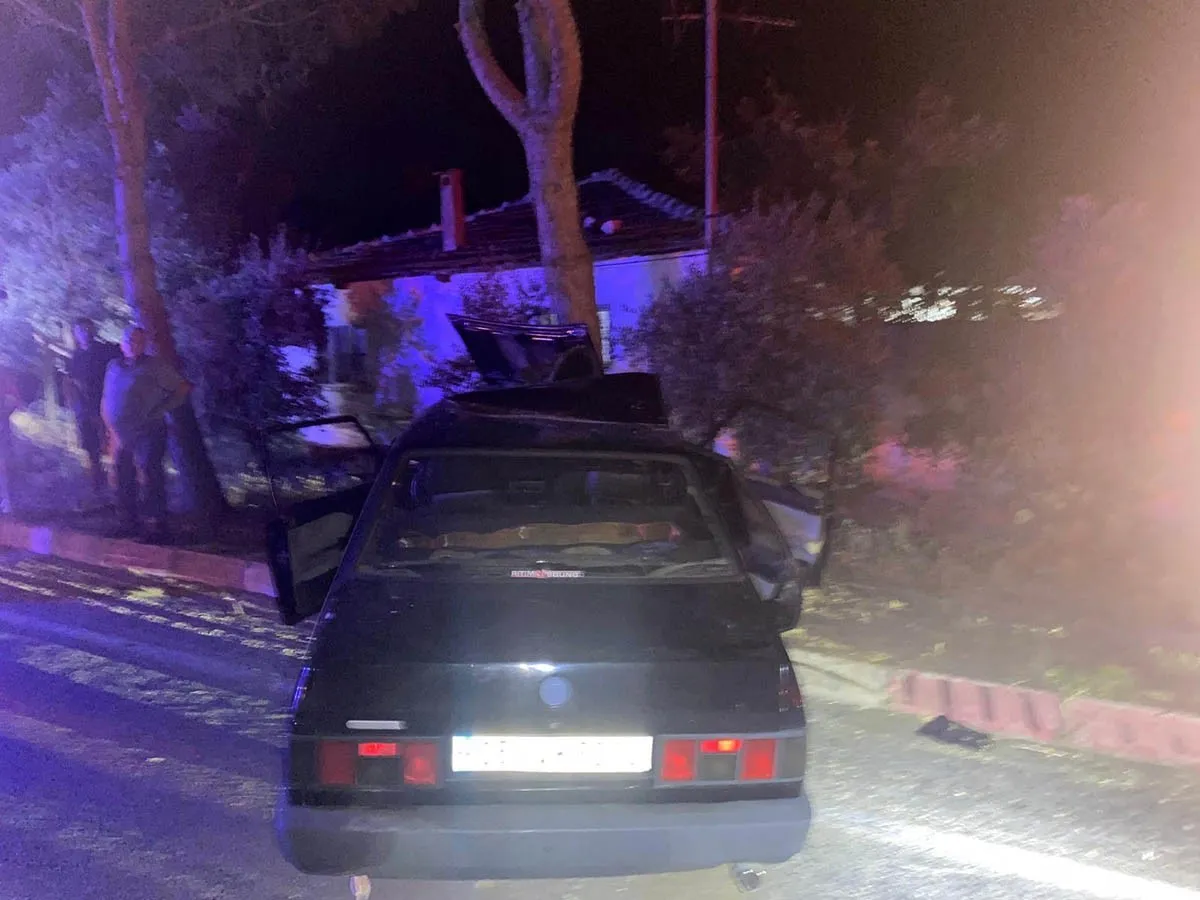 Ödemiş'te gece yarısı dehşeti: Köpeğe çarpmamak isterken ağaca çarptılar