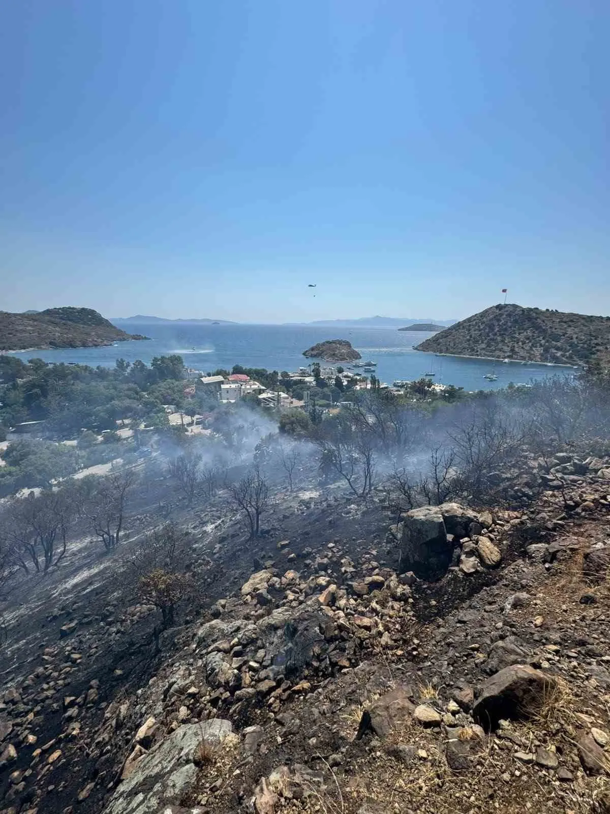 Bodrum Gümüşlük'te korkutan yangın: Ekipler rüzgara karşı zamanla yarıştı