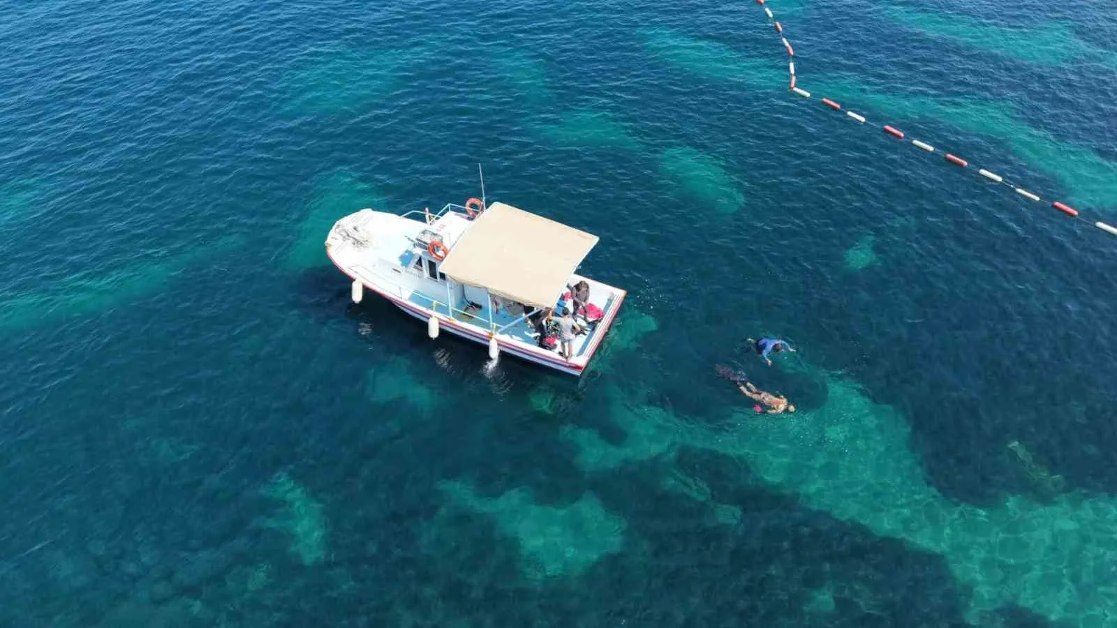 Bodrum’un derinliklerinden çıkanlar şoke etti: 410 kilogramlık utanç tablosu