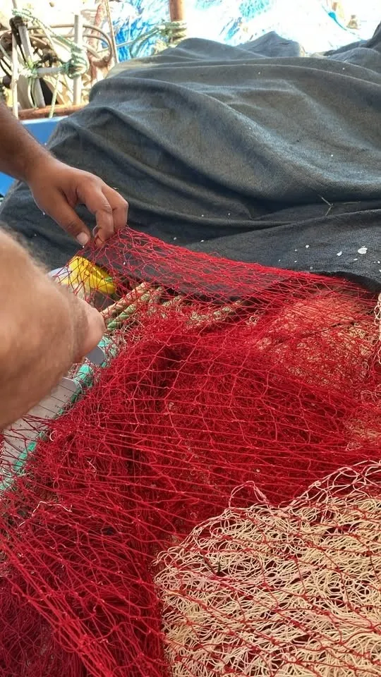 Didim denizlerinde sıkı denetim: Balıkçı ağları mercek altına alındı