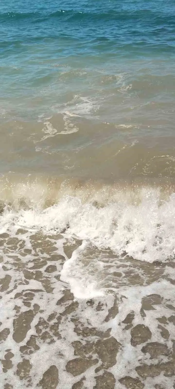 Bodrum sahillerinde kirlilik alarmı: Başsavcılık harekete geçti