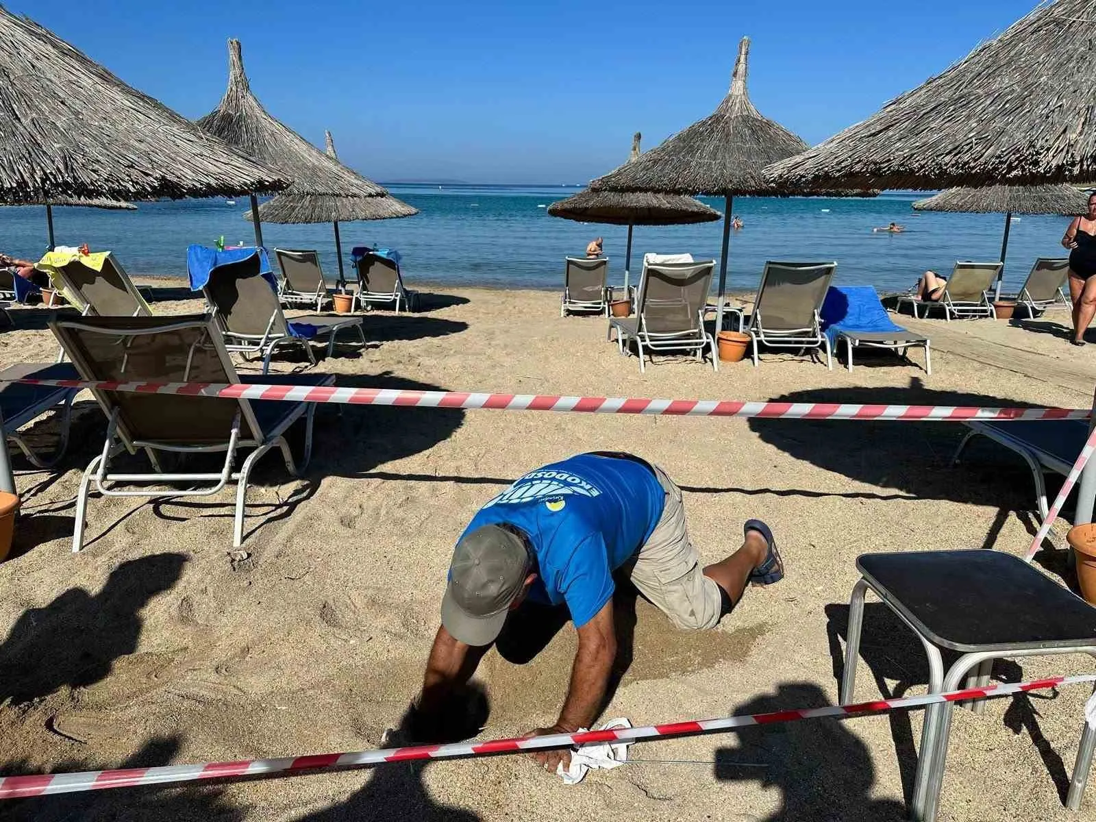 Didim’de beklenen misafir 5 yıl sonra geri döndü: Kumsalda duygusal anlar