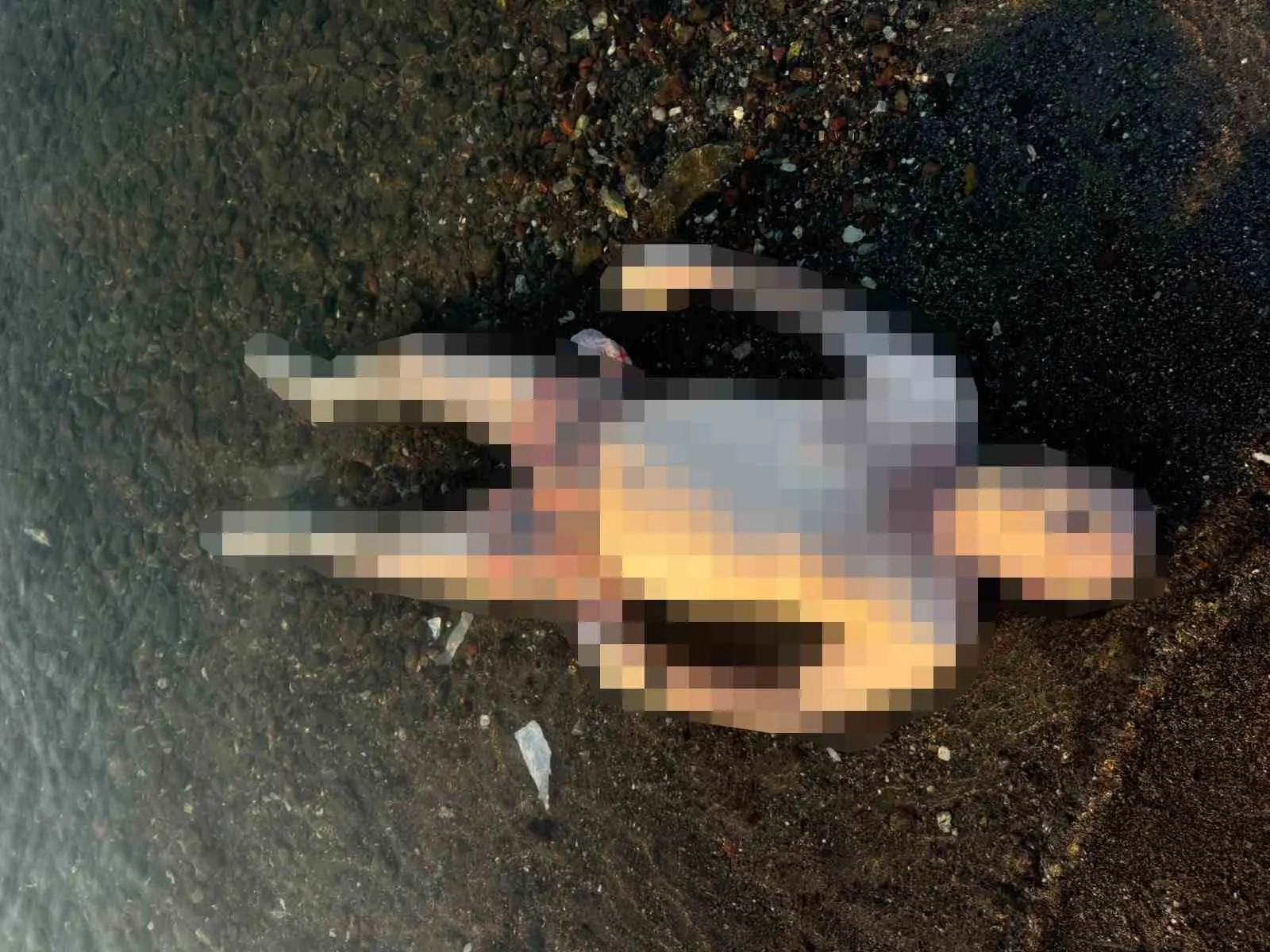 Marmaris sahillerinde sabah saatlerinde acı manzara: Denizde cansız beden bulundu