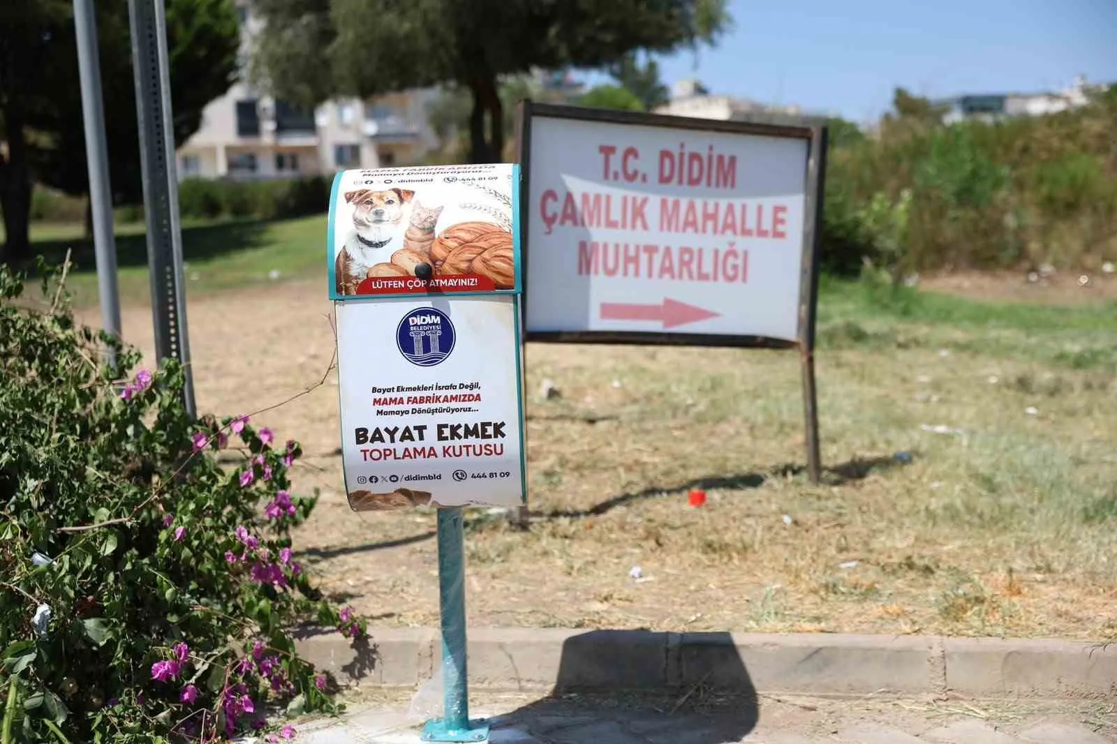 Didim'de ekmekler çöpe gitmiyor: Hem israf önleniyor hem sokak hayvanları doyuyor