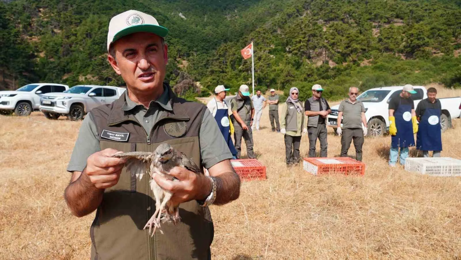 Manisa'nın yaban hayatına bin 200 yeni misafir: Doğal denge kekliklerle korunuyor