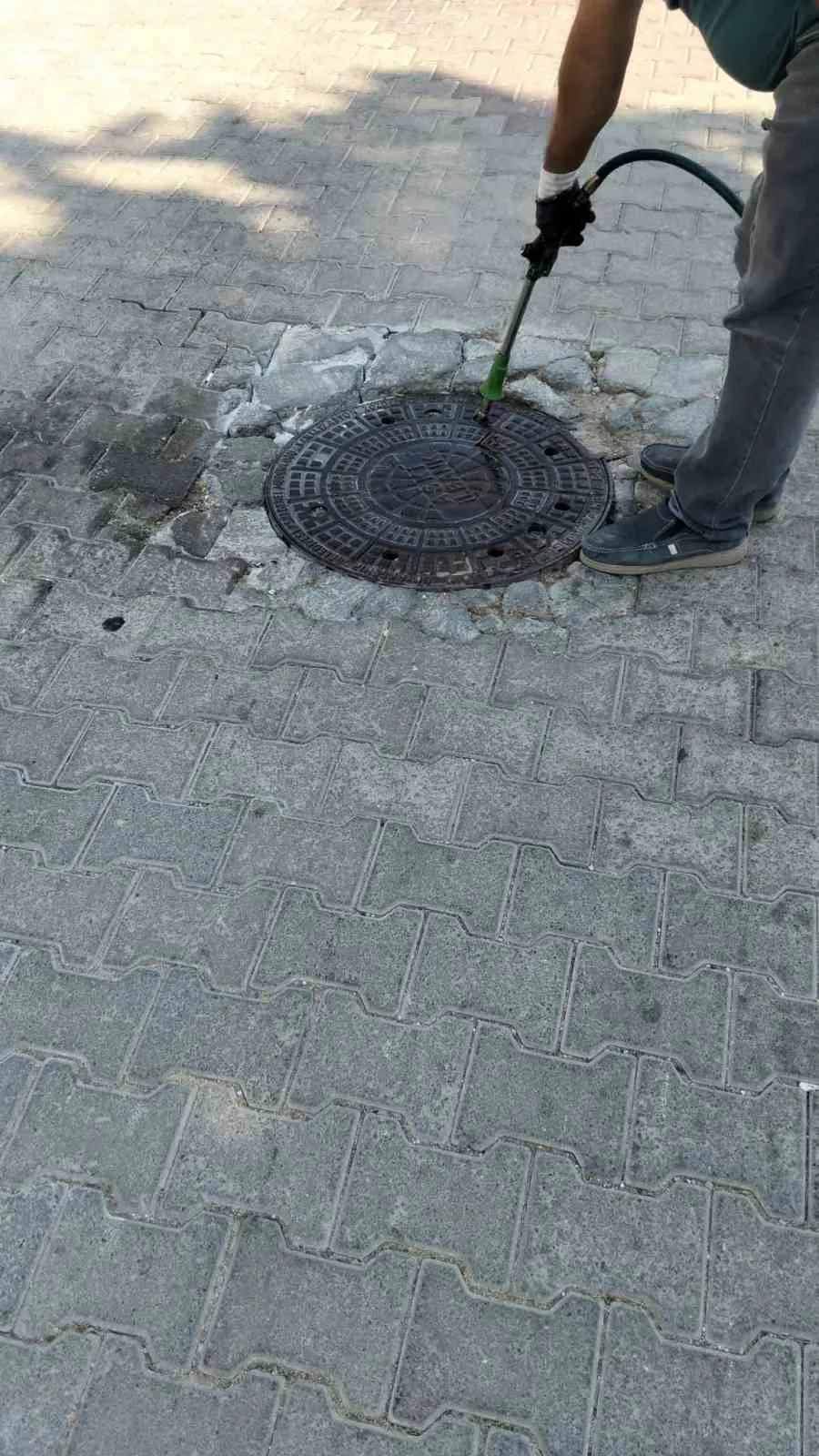Didim’de yaz mesaisi: Belediye ekipleri haşerelere geçit vermiyor