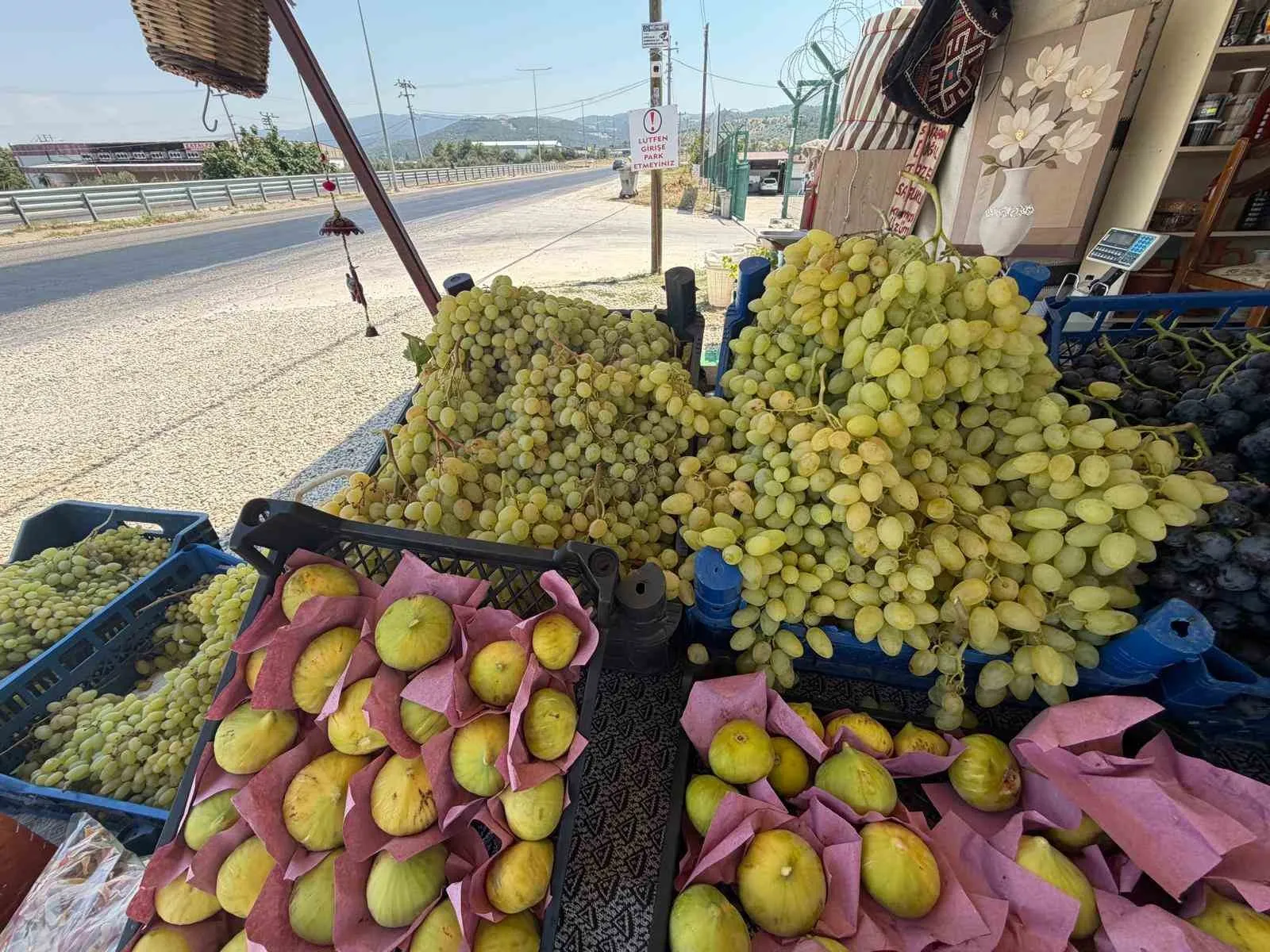 Otobanda mola verenler kendileri hasat ediyor: Sarıgöl'de üreticiden direkt tüketiciye