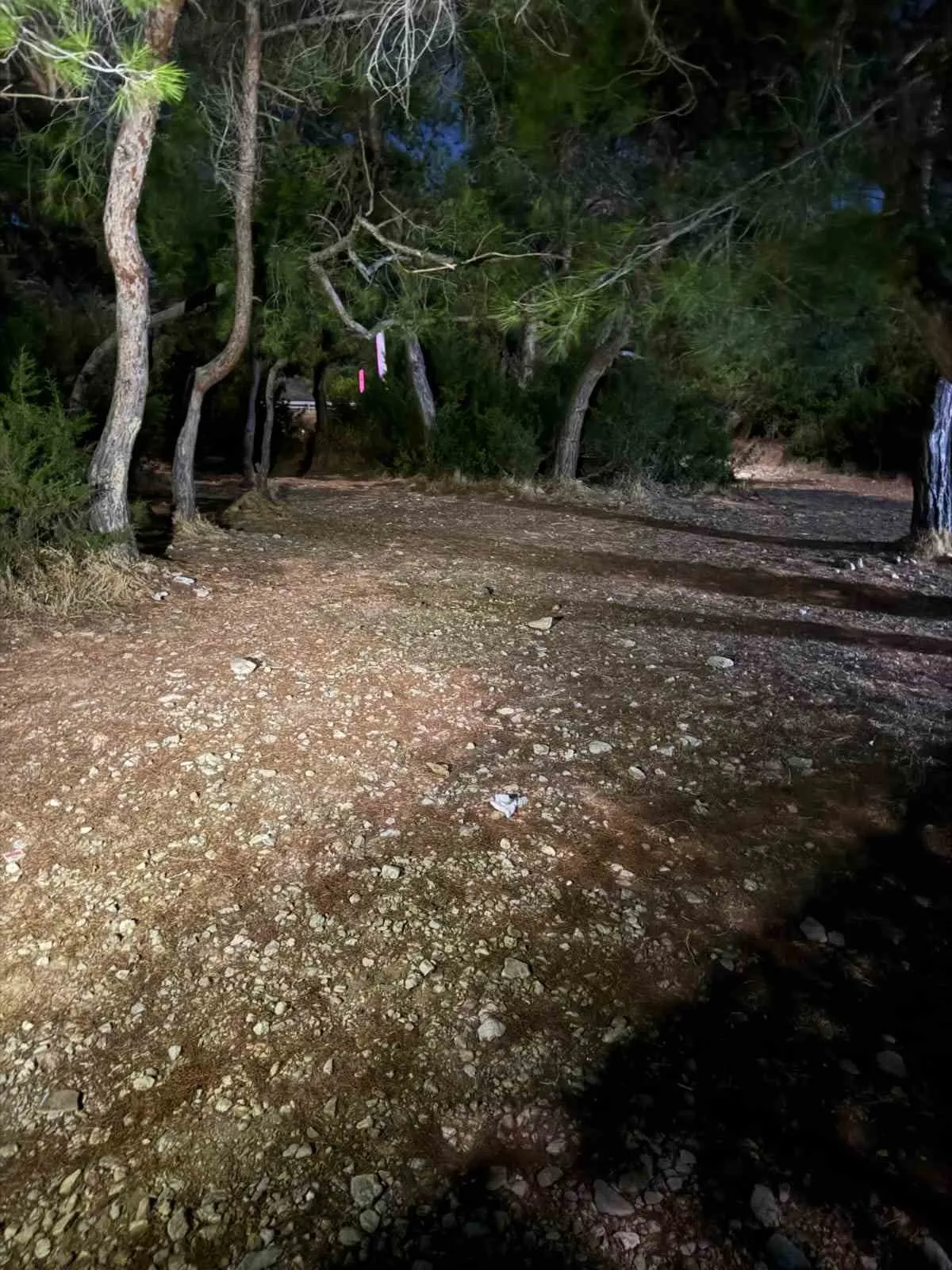 Datça’da orman nöbeti: Kaçak kampçılara geçit yok