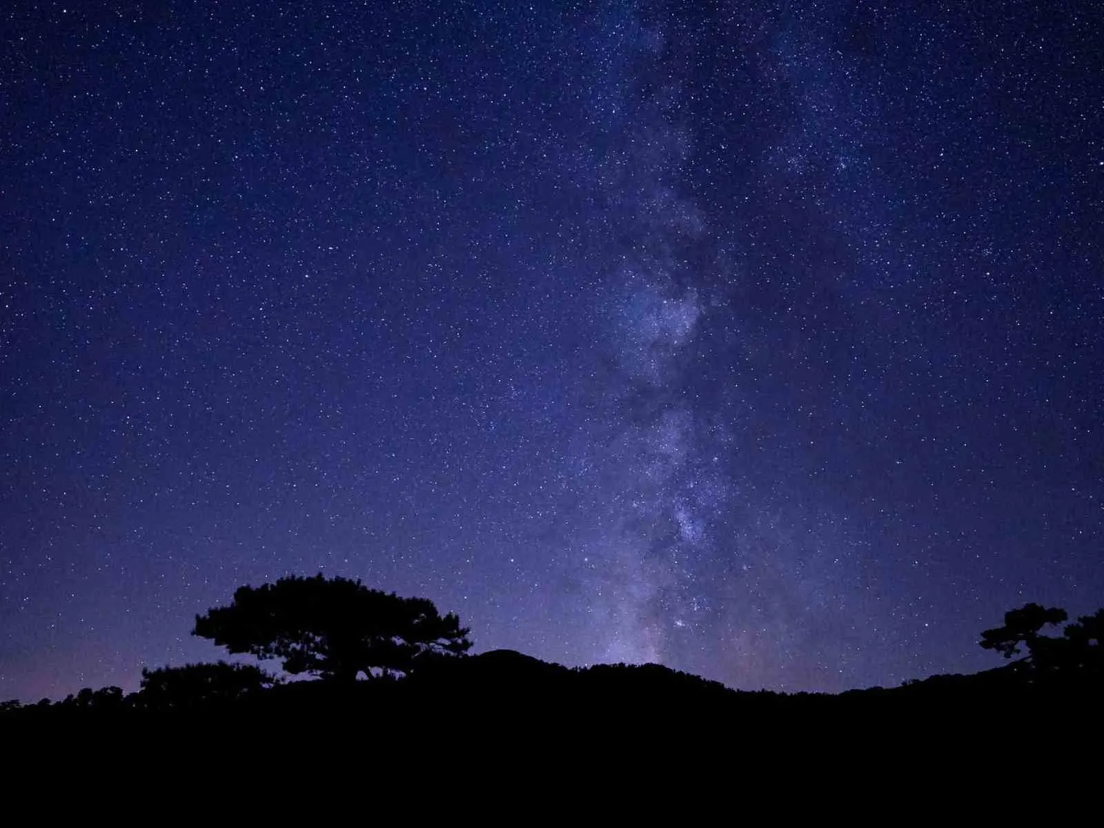 Yıldızların altında bir hafta: Topuklu Yaylası astronomi tutkunlarını ağırladı